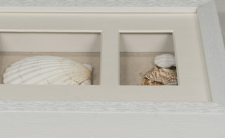 Sea Shell Beach Shadow Box Wall Décor Set of 2