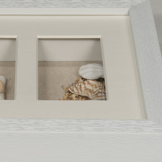 Sea Shell Beach Shadow Box Wall Décor Set of 2