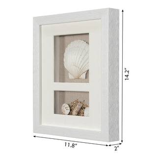 Sea Shell Beach Shadow Box Wall Décor Set of 2