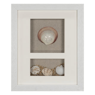 Sea Shell Beach Shadow Box Wall Décor Set of 2