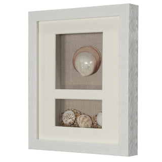 Sea Shell Beach Shadow Box Wall Décor Set of 2