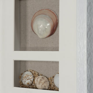 Sea Shell Beach Shadow Box Wall Décor Set of 2