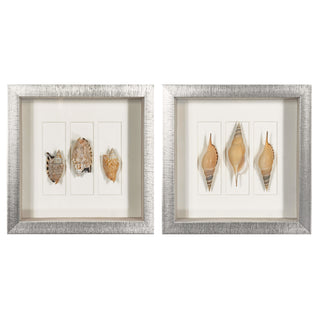 Sea Shell Shadow Box Wall Art Decor Set of 2