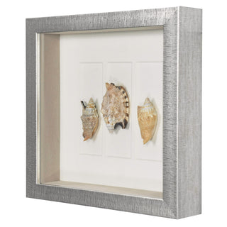 Sea Shell Shadow Box Wall Art Decor Set of 2