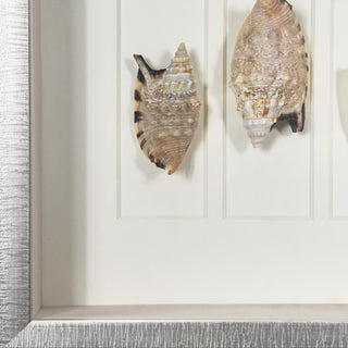 Sea Shell Shadow Box Wall Art Decor Set of 2