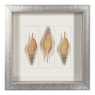 Sea Shell Shadow Box Wall Art Decor Set of 2