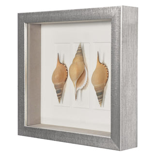 Sea Shell Shadow Box Wall Art Decor Set of 2