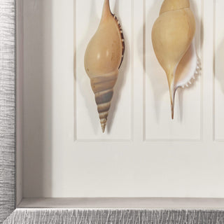 Sea Shell Shadow Box Wall Art Decor Set of 2