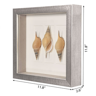 Sea Shell Shadow Box Wall Art Decor Set of 2