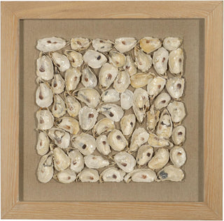 Oyster Cluster Shadow Box Wall Decor