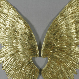 Gold Wings Acrylic Shadow Box Wall Decor