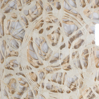 Ivy Bronx Abstract Paper Mache Wall Decor Shadow Box Wall Decor