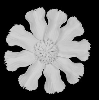 White Ceramic Flower Shadow Box Wall Decor