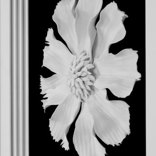 White Ceramic Flower Shadow Box Wall Decor