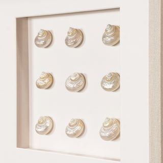 Handmade Pearlescent Sea Shell Shadow Box Wall Art Decor Wall Art