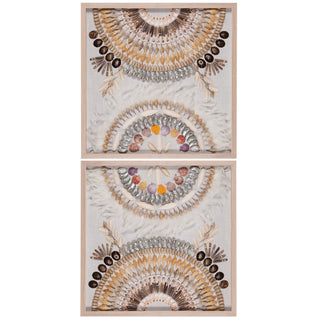 Oversized Seashell & Feather Handmade Wall Décor Shadow Box Wall Art (MS47952)