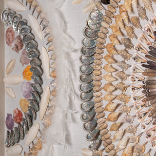 Oversized Seashell & Feather Handmade Wall Décor Shadow Box Wall Art (MS47952)