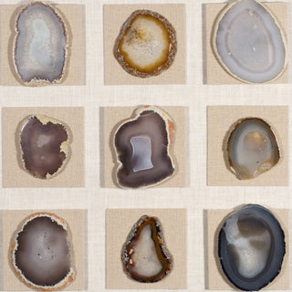 Assorted Agate Slice Wall Décor