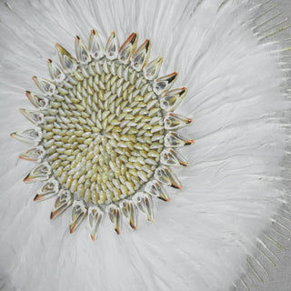 Feather Shell Wreath Shadow Box Wall Decor