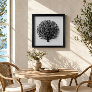 Withered Tree Shadow Box Wall Art Décor