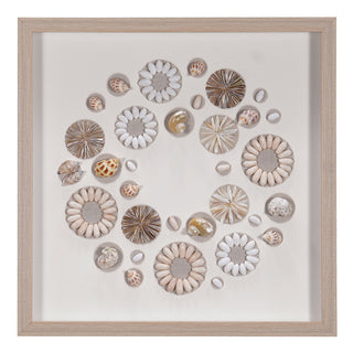 Assorted Natural Shells Shadow Box Handmade Wall Décor