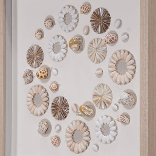 Assorted Natural Shells Shadow Box Handmade Wall Décor