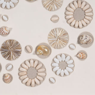 Assorted Natural Shells Shadow Box Handmade Wall Décor