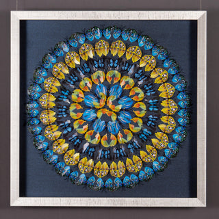 Handmade Butterfly Wall Décor Shadow Box Wall Art (MS57061AP)